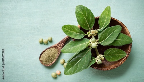 ashwagandha fresh green plant