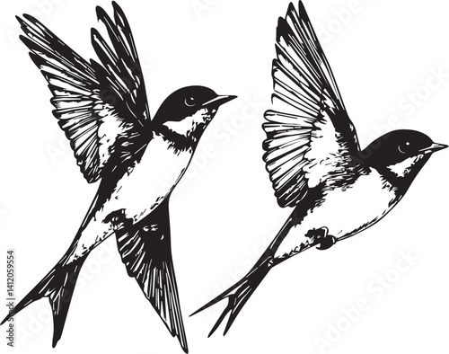 silhouette of flying birds