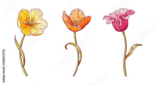 Tulips, three colorful flowers set. Beautiful spring blooms with leaves for Easter, Mother Day or Canadian Tulip Festival decor. Hand drawn vintage elements on white. Vector illustration for design
