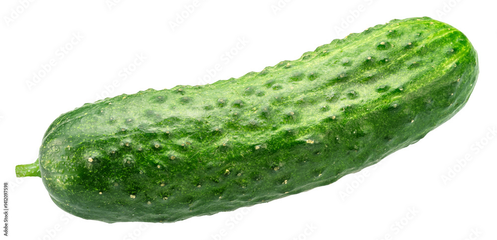 Fresh sweet small cucumbers isolated on white background. Cucumbers that are used to pickling or slicing. Fresh sweet small cucumbers isolated on white background. Cucumbers that are used to pickling or slicing.
