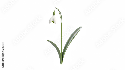 Wallpaper Mural a close up of a flower on a transparent background, PNG image, PNG file, Generative art. Torontodigital.ca