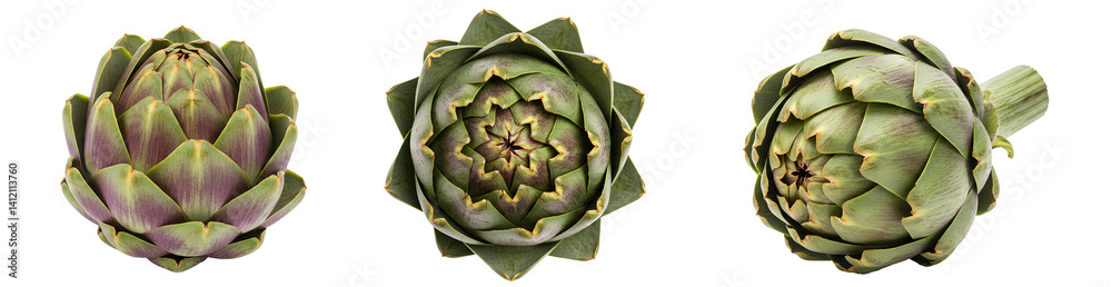 artichoke set png. set of artichokes isolated. artichoke PNG. Artichoke top view flat lay vegetable isolated. Organic and healthy green artichoke vegetable for vegan and vegetarian healthy eating PNG. artichoke set png. set of artichokes isolated. artichoke PNG. Artichoke top view flat lay vegetable isolated. Organic and healthy green artichoke vegetable for vegan and vegetarian healthy eating PNG.