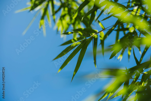 A vibrant scene depicting green leaves dancing against a clear blue sky, symbolizing tranquility and the beauty of nature, inviting viewers to connect with the outdoors. photo