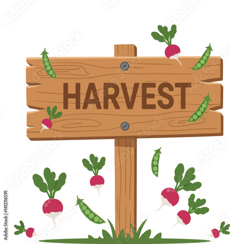 Wooden harvest signpost with fresh radishes and pea pods flat design vector illustration