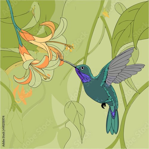 Violet Sabrewing Hummingbird, Central American native, feeding on nectar with speed and grace.