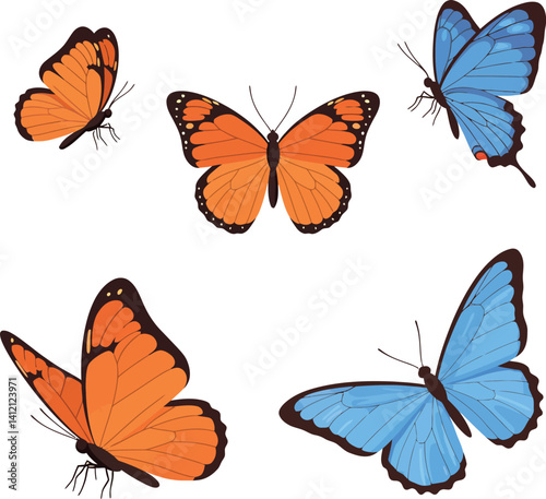 Colorful orange and blue butterflies in detailed flat design flying vector illustration
