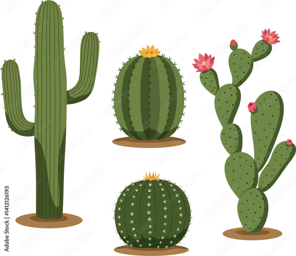 Various green cacti with blooming flowers in flat minimal style desert plants vector illustration Various green cacti with blooming flowers in flat minimal style desert plants vector illustration