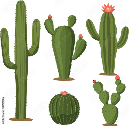 Various green desert cacti with pink flowers in flat minimal style vector illustration