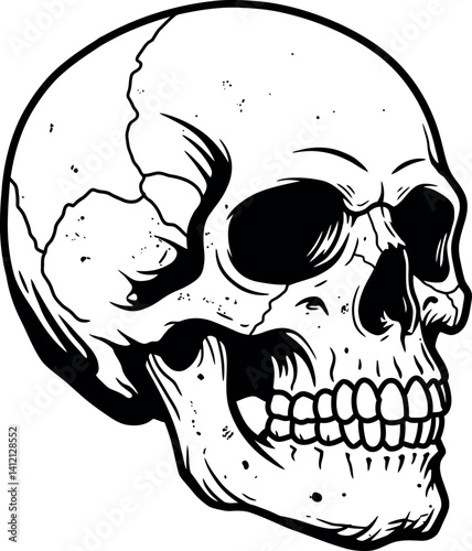 Human skull side view detailed black and white line art minimal vector illustration