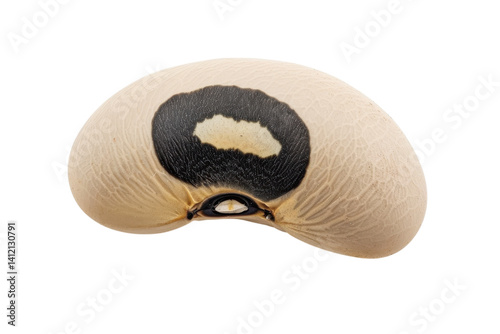 Unique black-eyed pea displayed on a clean surface, showcasing its distinctive pattern and texture isolated on transparent background