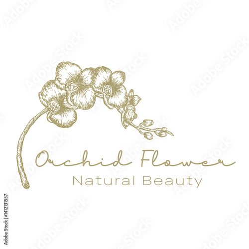 Orchid logo with hand drawn style for natural brand and skincare looks beautiful