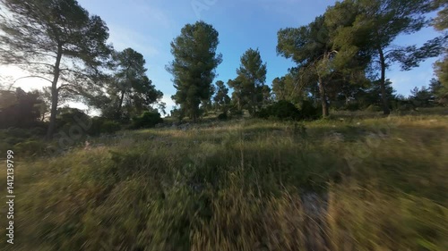 FPV drone flight in spring green forest. Central District, Israel