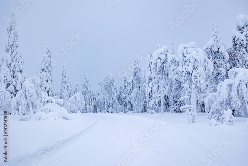 snow covered trees in winter