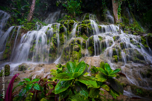 waterfall in the forest