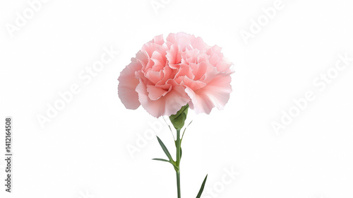 a pink flower in a vase against a on a transparent background, PNG image, PNG file, Generative art.