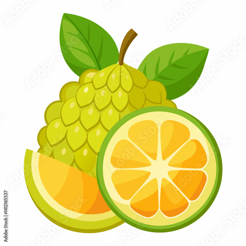 vector illustration of an Jackfruit