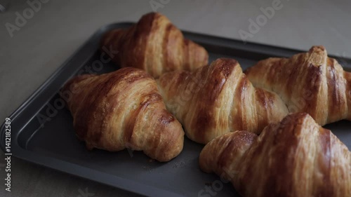 Freshly Baked Croissant with Crispy Layers