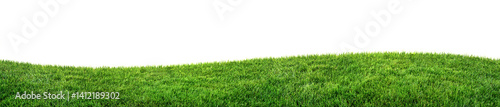 green grass field isolated on white background