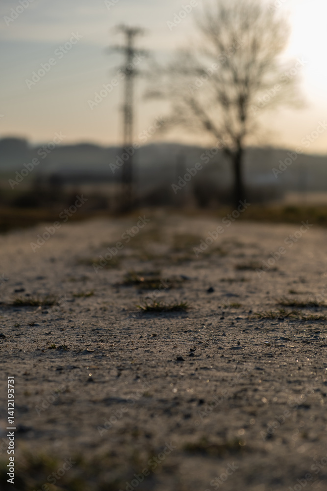 Dirt road with low focus during golden hour Dirt road with low focus during golden hour
