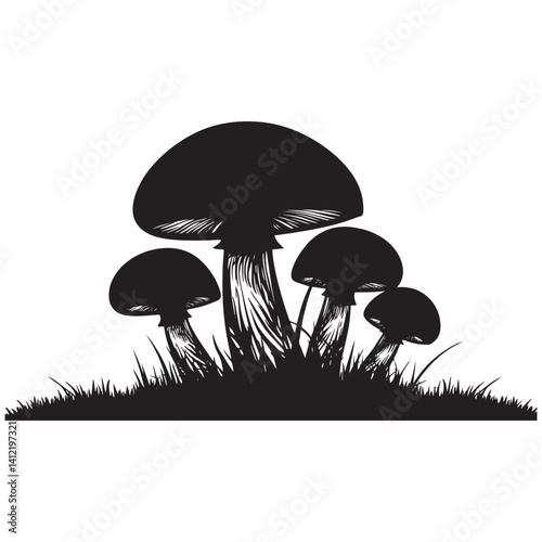 Collection of various mushrooms growing in a natural setting surrounded by grass and rocks