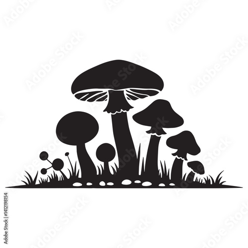 Collection of various mushrooms growing in a natural setting surrounded by grass and rocks