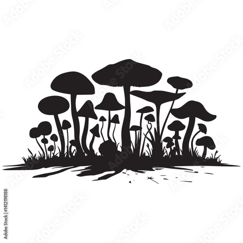 Collection of various mushrooms growing in a natural setting surrounded by grass and rocks