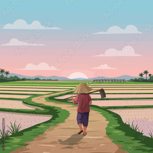 Walking Farmer on Path Through Rice Fields at Sunset