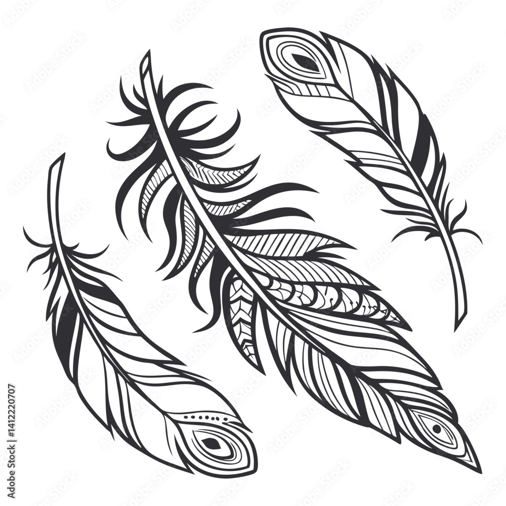Obraz premium feathers vector illustration
