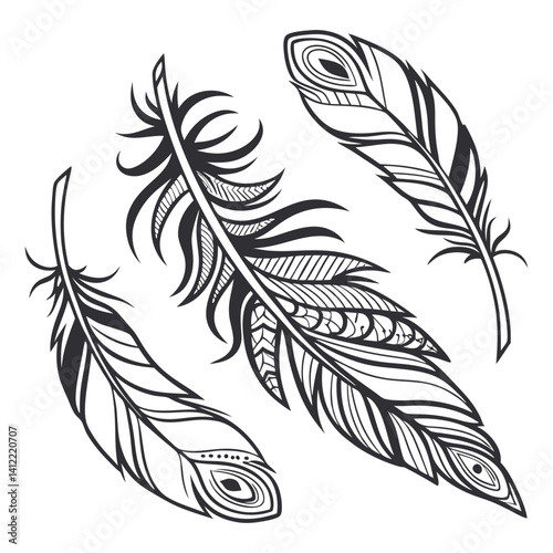 feathers vector illustration