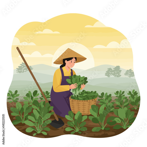 Farmer Harvesting Green Vegetables in Field at Sunrise