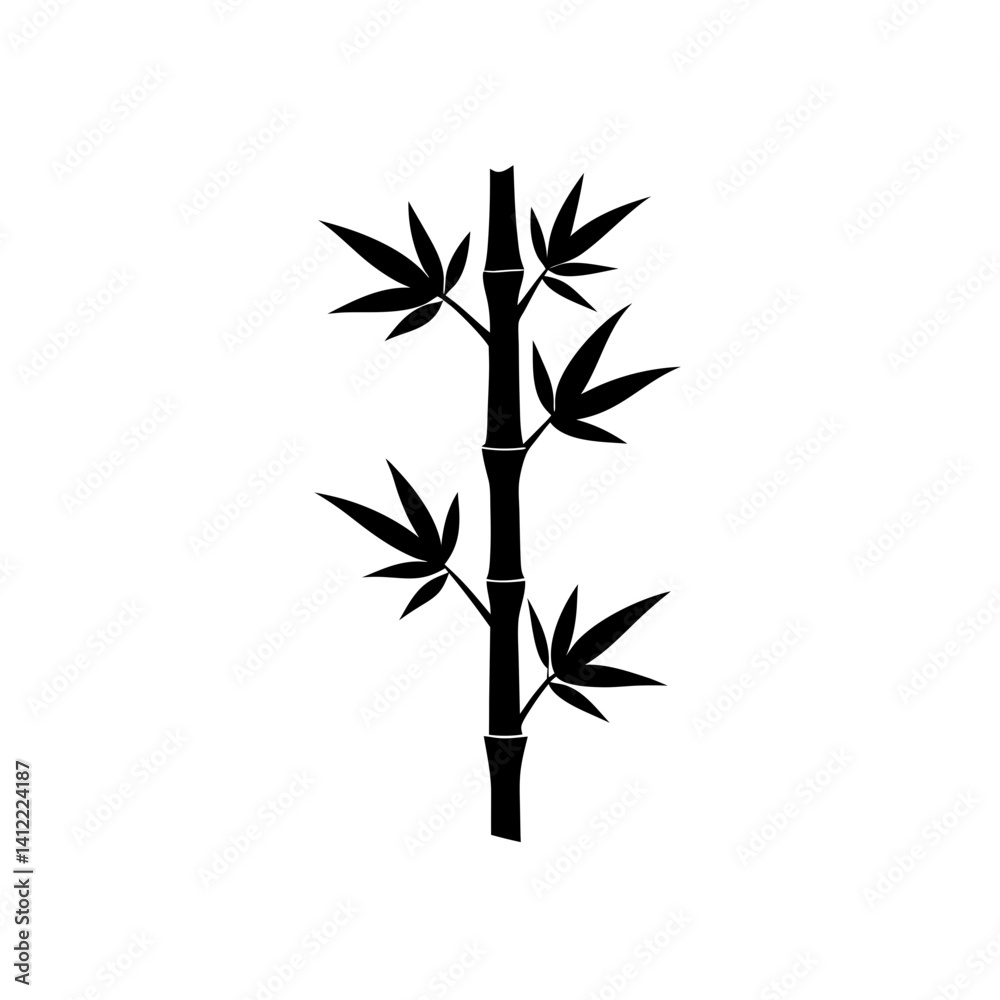 Obraz premium bamboo isolated on white background