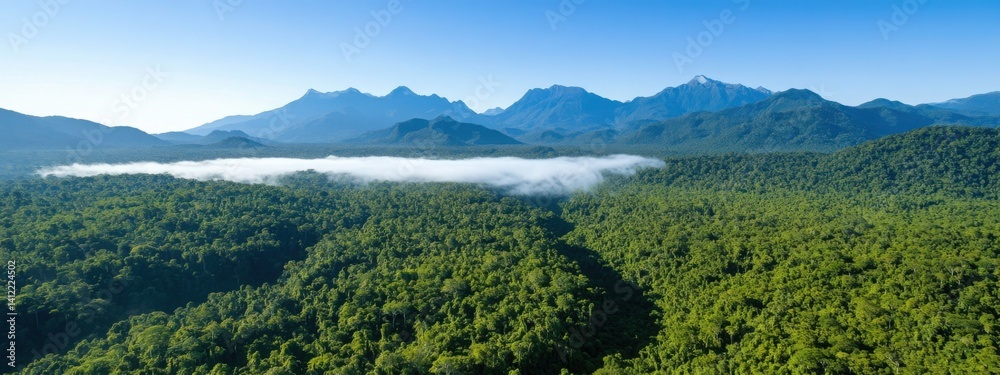 An aerial view of the Amazon rainforest, with mist rising from its dense canopy and mountains in the background. The forest is lush and green, filled with trees that create an enchanting atmosphere.