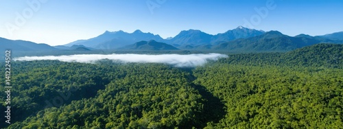 Obraz na płótnie An aerial view of the Amazon rainforest, with mist rising from its dense canopy and mountains in the background. The forest is lush and green, filled with trees that create an enchanting atmosphere. w salonie