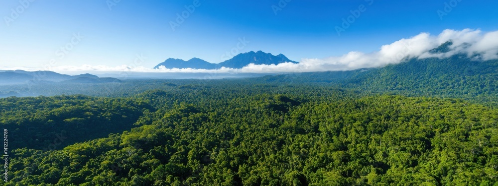 An aerial view of the Amazon rainforest, with mist rising from its dense canopy and mountains in the background. The forest is lush and green, filled with trees that create an enchanting atmosphere.