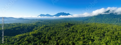 Obraz na płótnie An aerial view of the Amazon rainforest, with mist rising from its dense canopy and mountains in the background. The forest is lush and green, filled with trees that create an enchanting atmosphere. w salonie