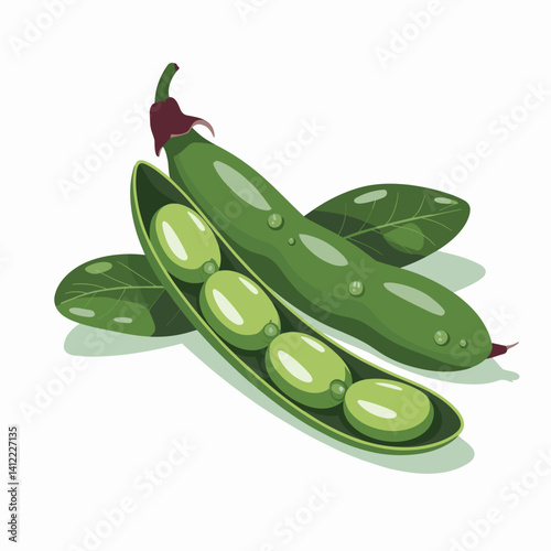 Fresh Fava Bean Pod with Leaves and Dew Drops
