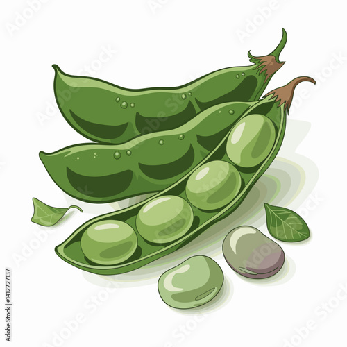Fresh Fava Bean Pod with Leaves and Dew Drops