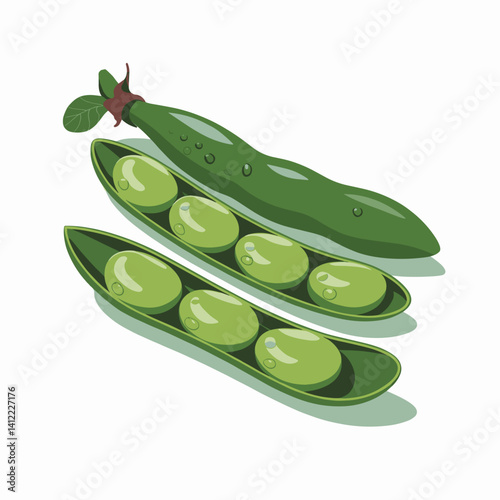 Fresh Fava Bean Pod with Leaves and Dew Drops