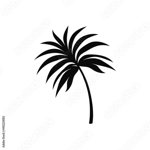 palm trees silhouette