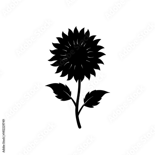 black and white sunflower