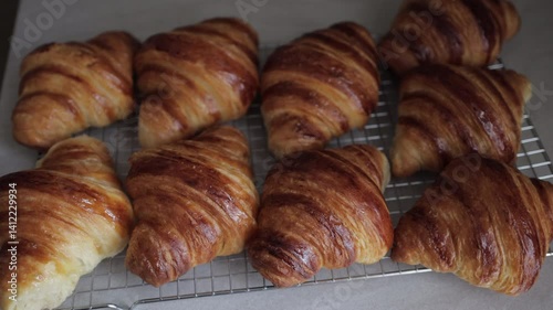 Freshly Baked Croissant