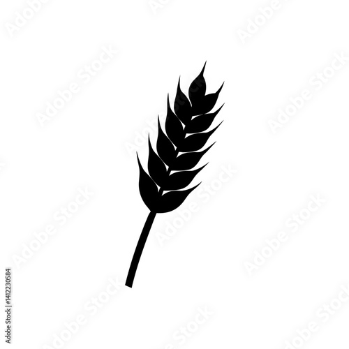 wheat isolated on white background