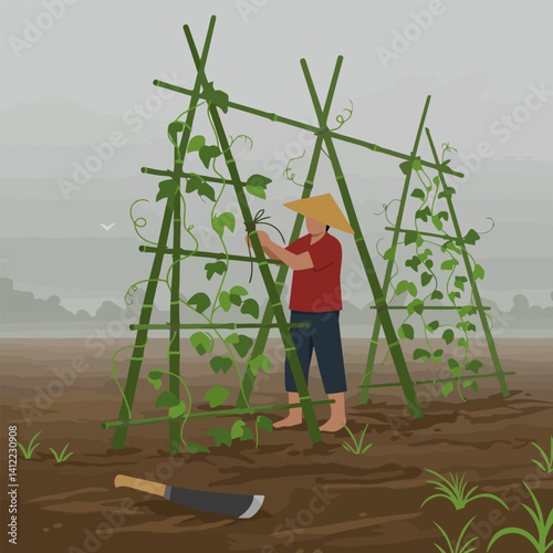 Farmer Tending Climbing Plants in the Field