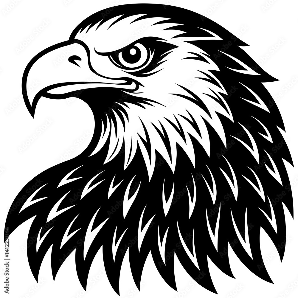 Obraz premium Bald Eagle Vector Illustration – Majestic Bird of Prey Clipart for Digital and Print Use