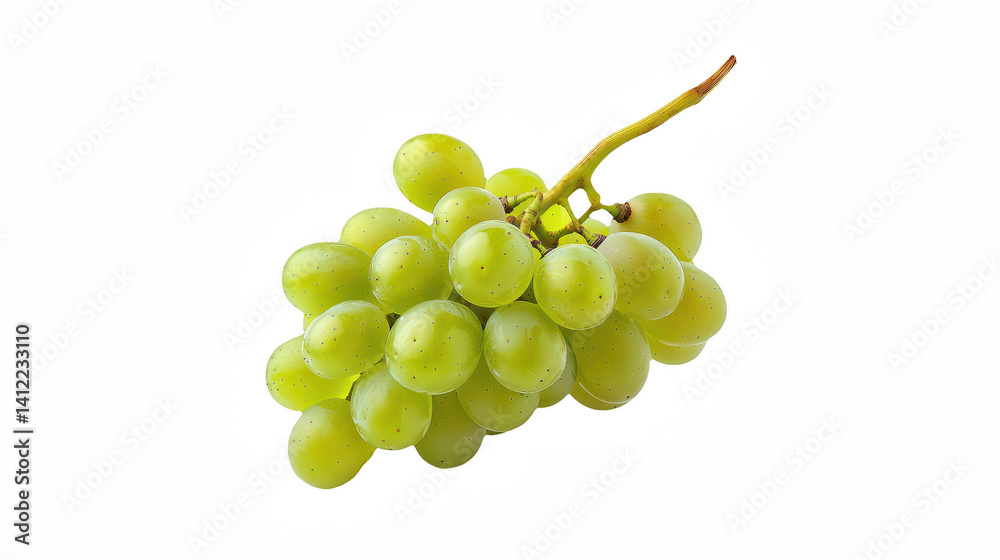 a bunch of green grapes hanging from a branch on a transparent background, PNG image, PNG file, Generative art. a bunch of green grapes hanging from a branch on a transparent background, PNG image, PNG file, Generative art.