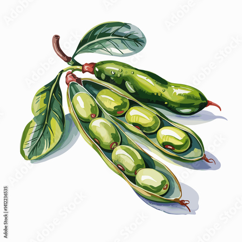 Watercolor Fava Bean Pod with Leaves and Dew