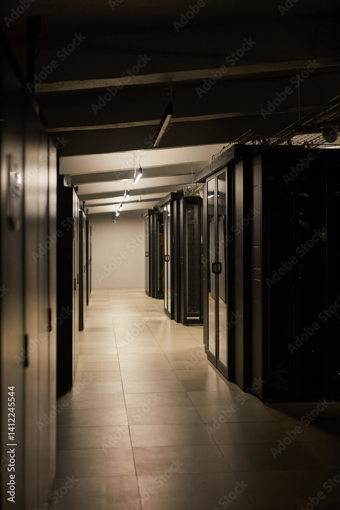 Naklejka premium Spacious server room corridor illuminated by overhead lighting, featuring rows of network racks. Environment is clean and well-organized, signifying advanced technological infrastructure