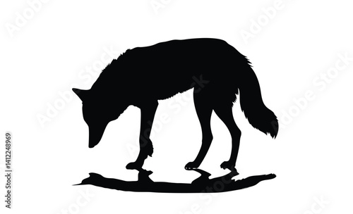 Jackal silhouette, Wild canine vector, Line art jackal illustration