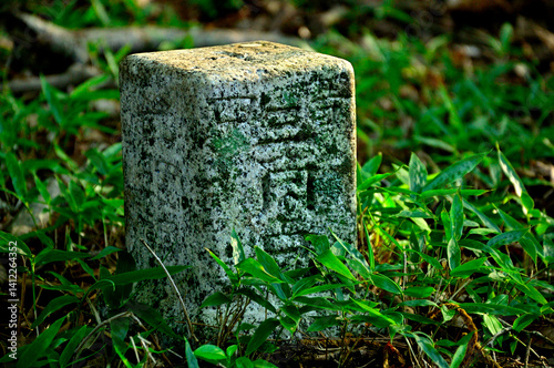 御坂山地の十二ヶ岳　四等三角点（大久保山）
 photo