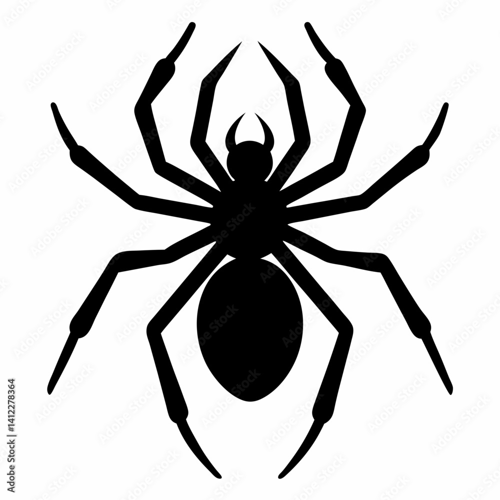 spider on a white background